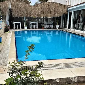 book here